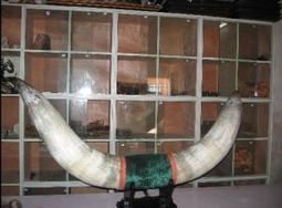 日用百貨 家居用品 企業(yè)黃頁(yè) 公司列表