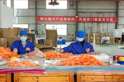 開門紅!天貓雙11首日產(chǎn)業(yè)帶&ldquo;廠貨&rdquo;成交額是去年17倍!